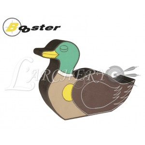 Cible 2D Booster Canard