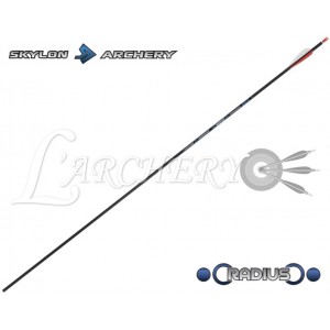 Flèche Skylon Radius 4.2 (par 12)