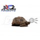 Cible 3D Wildcrete Tortue