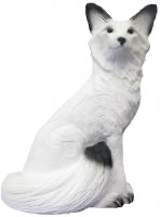 08479999 volpe bianca.webp