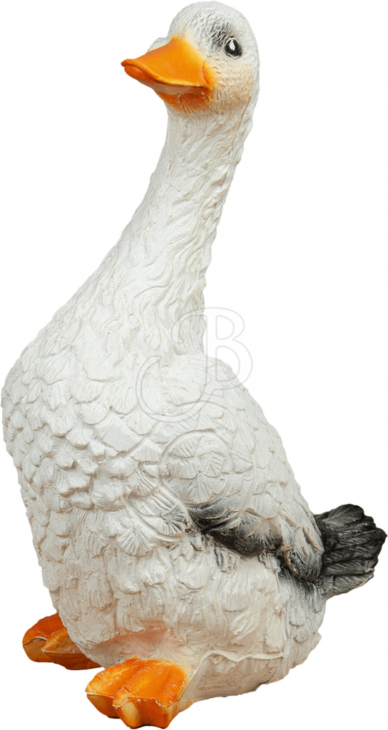 Centerpoint Canard Debout