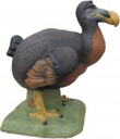 SRT Dodo