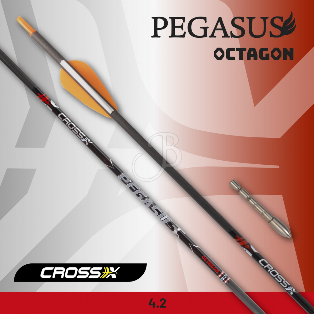 cross-x pegasus octagon Flèche (500)