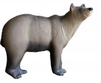 SRT Ours Brun Marsicano